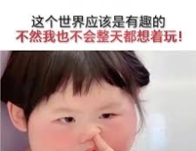 《高考志愿分类》——5.按录取模式分类