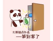 《大学生兴趣娱乐爱好》——10.科技与编程