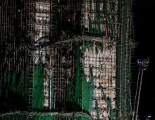 香港专业人士流亡海外揭不实报导：真凶不是竹子